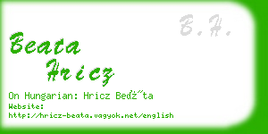 beata hricz business card